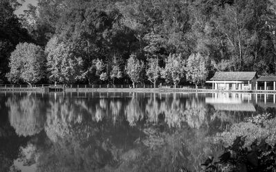 Scenic view of lake against trees