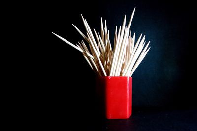 Close-up of red flower over black background