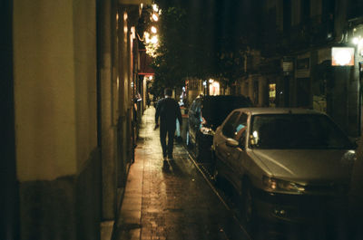 Rear view of people walking on street at night