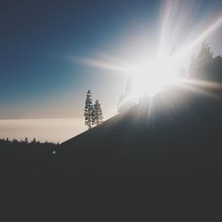 Silhouette trees against sky during sunset