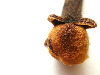 Close-up of fruit against white background