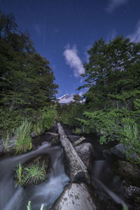 Stream flowing through rocks in forest against sky