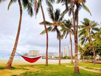 Palm trees on beach against sky