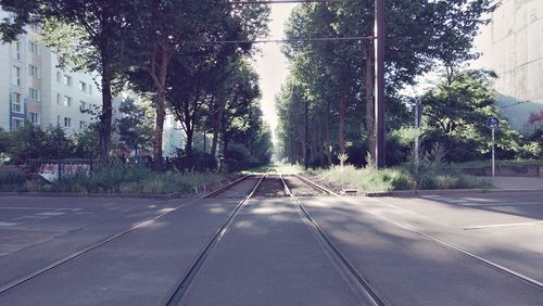 Road amidst trees against sky in city