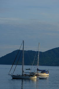 Sailboat sailing on sea against sky