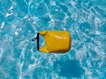 High angle view of yellow swimming in pool