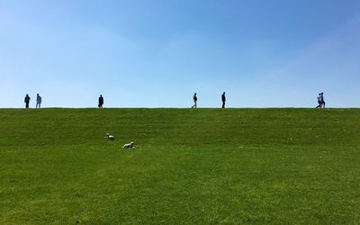 People on grassy field