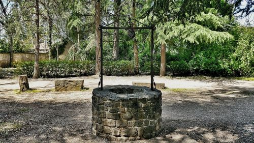 Plants by trees against water