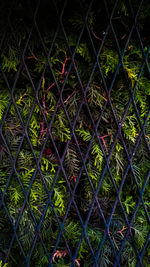 Full frame shot of multi colored fence