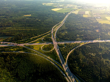 High angle view of road along trees