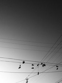 Low angle view of birds perching on power line