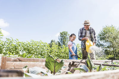 Grandfather and granddaughter in the garden watering plants