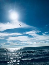Bird flying over sea against sky