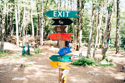 Information sign on road amidst trees in forest