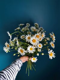 Cropped hand holding flowers against black background