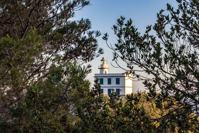 Low angle view of trees and building against sky