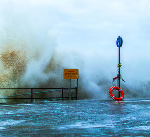 Reflection of trees in water