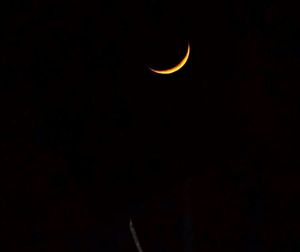 Low angle view of moon at night