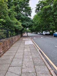 Footpath amidst trees in city