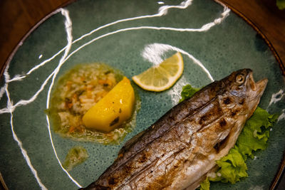 High angle view of seafood in plate