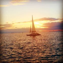 Sailboat sailing in sea at sunset