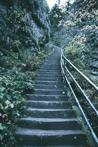 Staircase leading towards forest