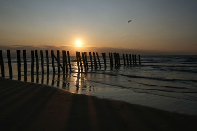 Silhouette birds on beach against sky during sunset