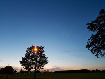 Silhouette trees on field against blue sky during sunset