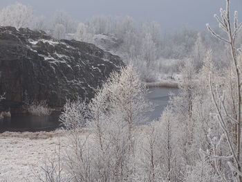 Frozen lake against trees during winter