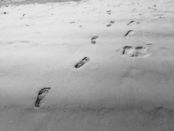 High angle view of footprints at beach