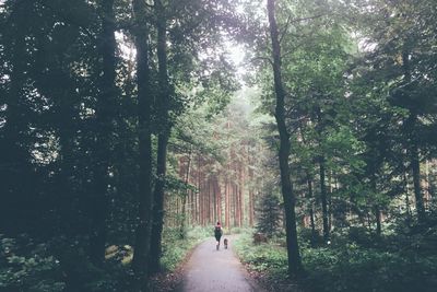 Rear view of person running with dog in forest