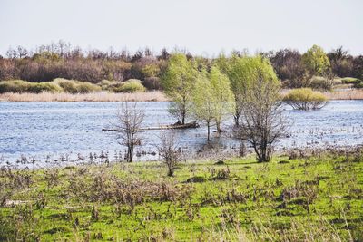 Scenic view of lake against sky