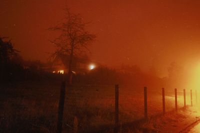 Trees on field against sky at night