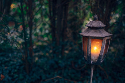 Close-up of illuminated lantern in forest