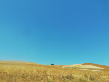 Scenic view of field against clear blue sky