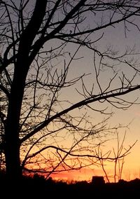 Silhouette bare tree against sky during sunset