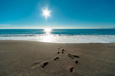 Close-up of beach against sky