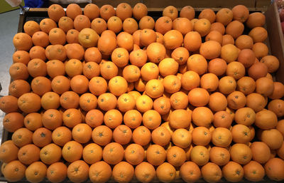 Close-up of fruits for sale at market stall