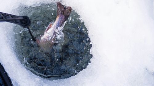 Close-up of hand holding ice over water