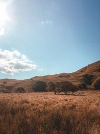 Scenic view of field against sky