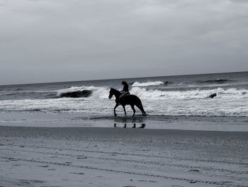 Silhouette person riding horse on beach against sky