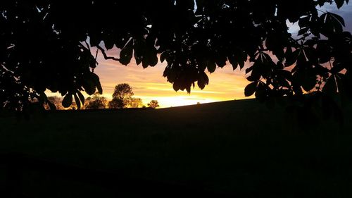 Silhouette trees on landscape against sky at sunset