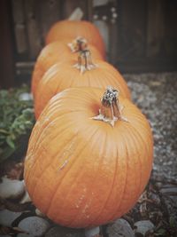 Close-up of pumpkins on pumpkin during autumn