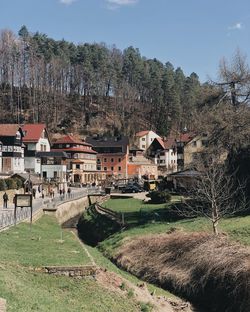 Houses in park