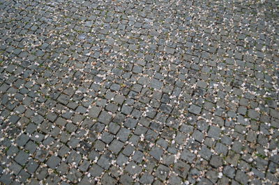 Full frame shot of cobblestone