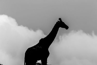 Silhouette statue of bird against sky