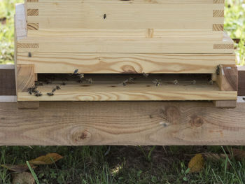 High angle view of wood on field