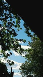 Low angle view of trees against sky