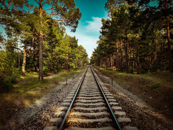 Railroad tracks amidst trees against sky