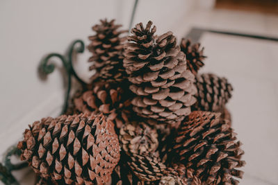 Close-up of pine cone on table